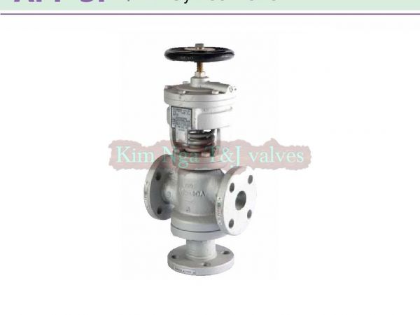 Van dù mặt bích APF-1F