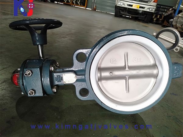 Van bướm gang teplon tay quay