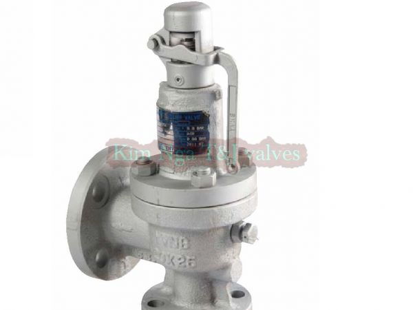 Van an toàn hàn quốc FSV-2F