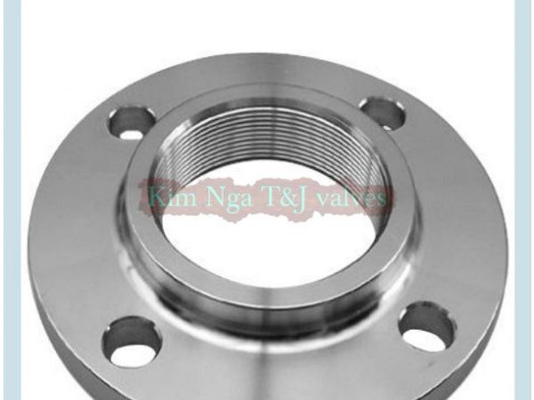 Mặt bích rỗng ANSI