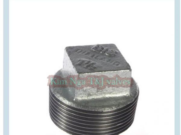 Nút ren gang mạ kẽm