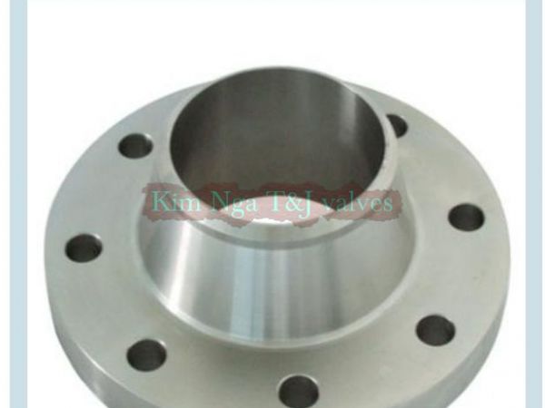 Mặt bích ANSI cổ cao