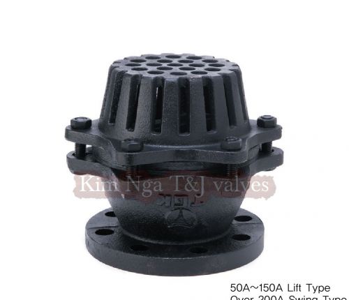 Rọ bơm gang mặt bích JIS 10K