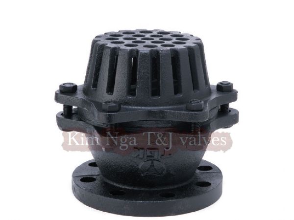 Rọ bơm gang mặt bích JIS 10K