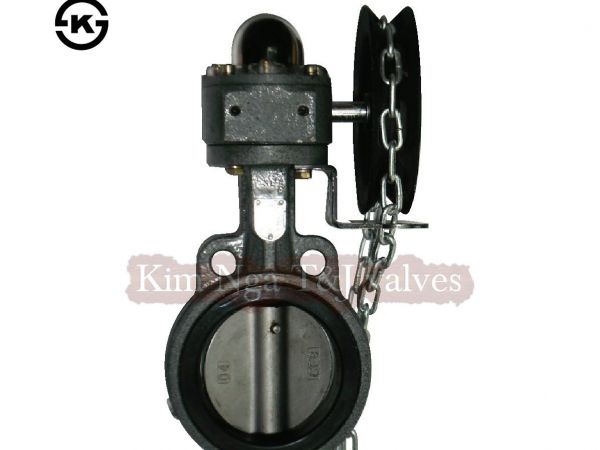 Van bướm gang kéo ròng rọc 10K