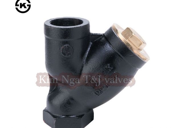 Y lọc ren gang 10K