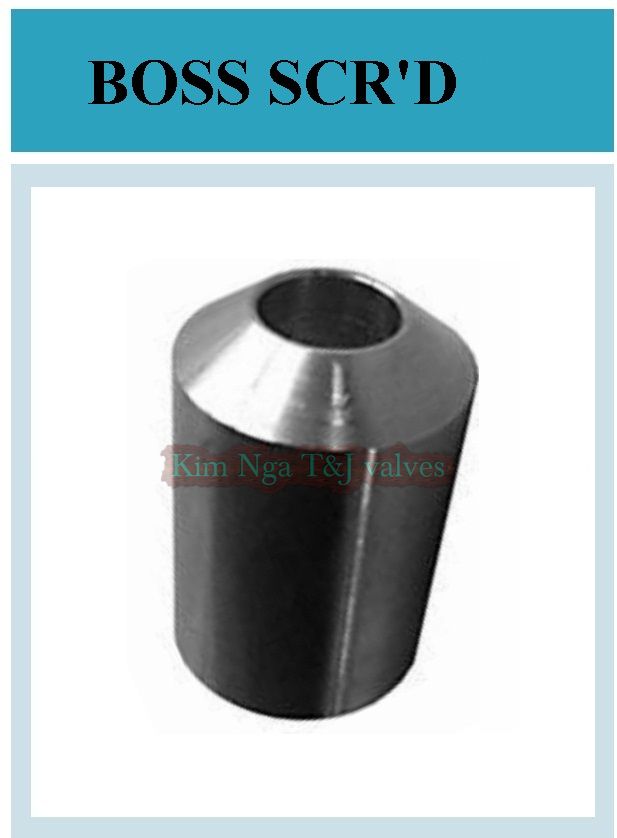 Boss ren áp lực #3000 SCREW