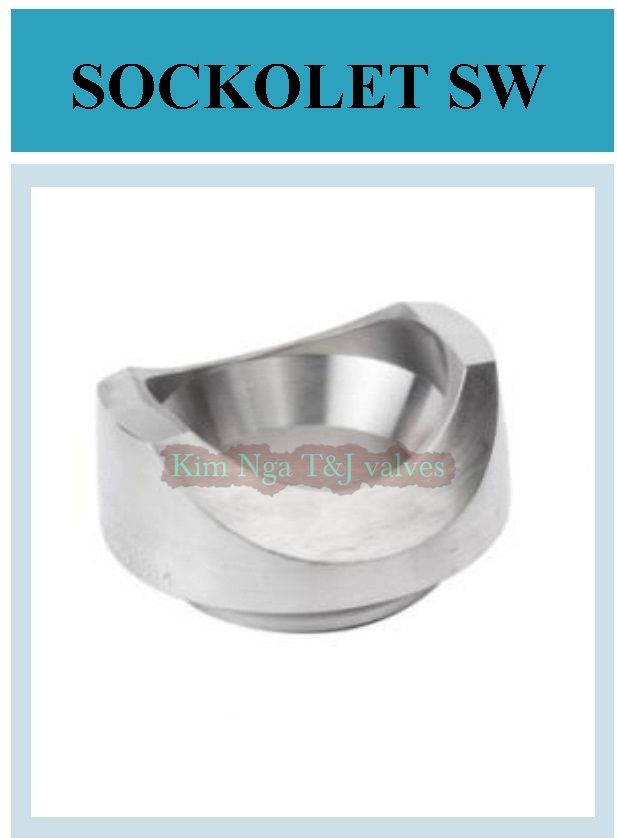 Sockolet ren áp lực #3000 Svrew