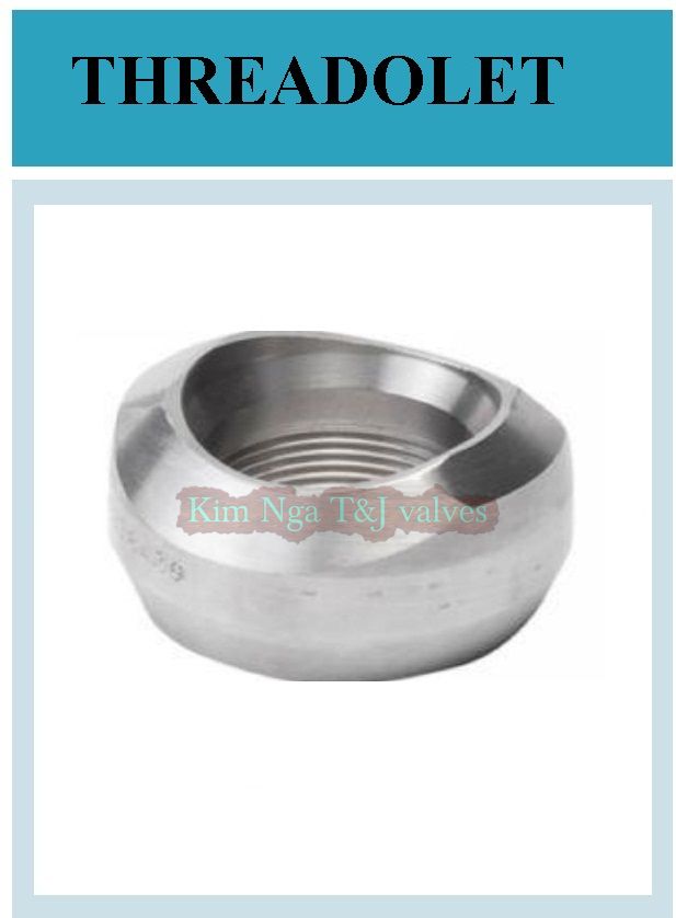 Sockolet hàn áp lực #3000 Svrew 2